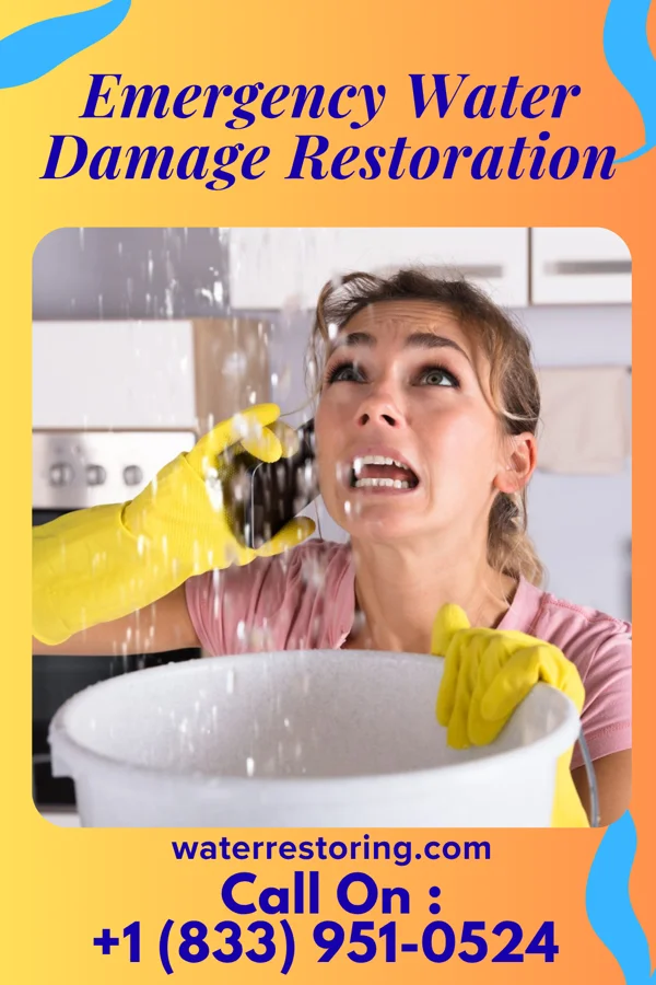 Emergency Water Damage Restoration in Love Valley, NC