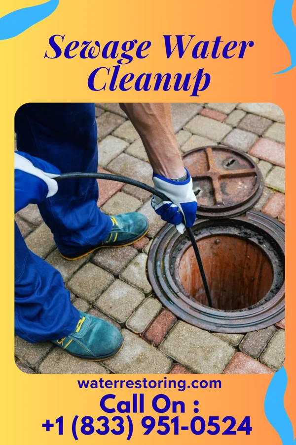 Sewage Water Cleanup in Love Valley, NC